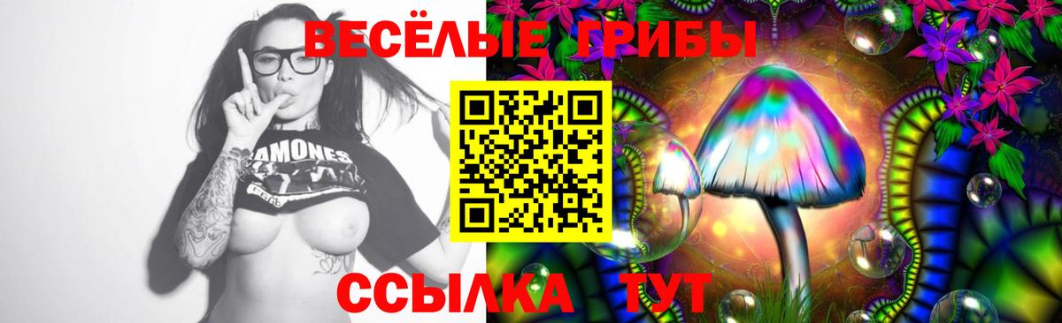 Галлюциногенные грибы мицелий  Вход с VPN  Бахчисарай 
